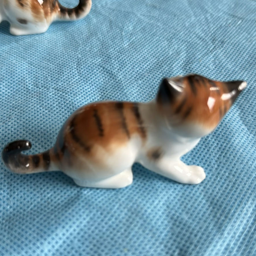 Lot Of Cats - image 7 of 43