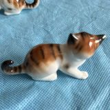 Lot Of Cats - thumbnail 7 of 43