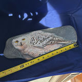 Snowy Owl Decorative Stone By Rob Buckland Nicks - thumbnail 2 of 6
