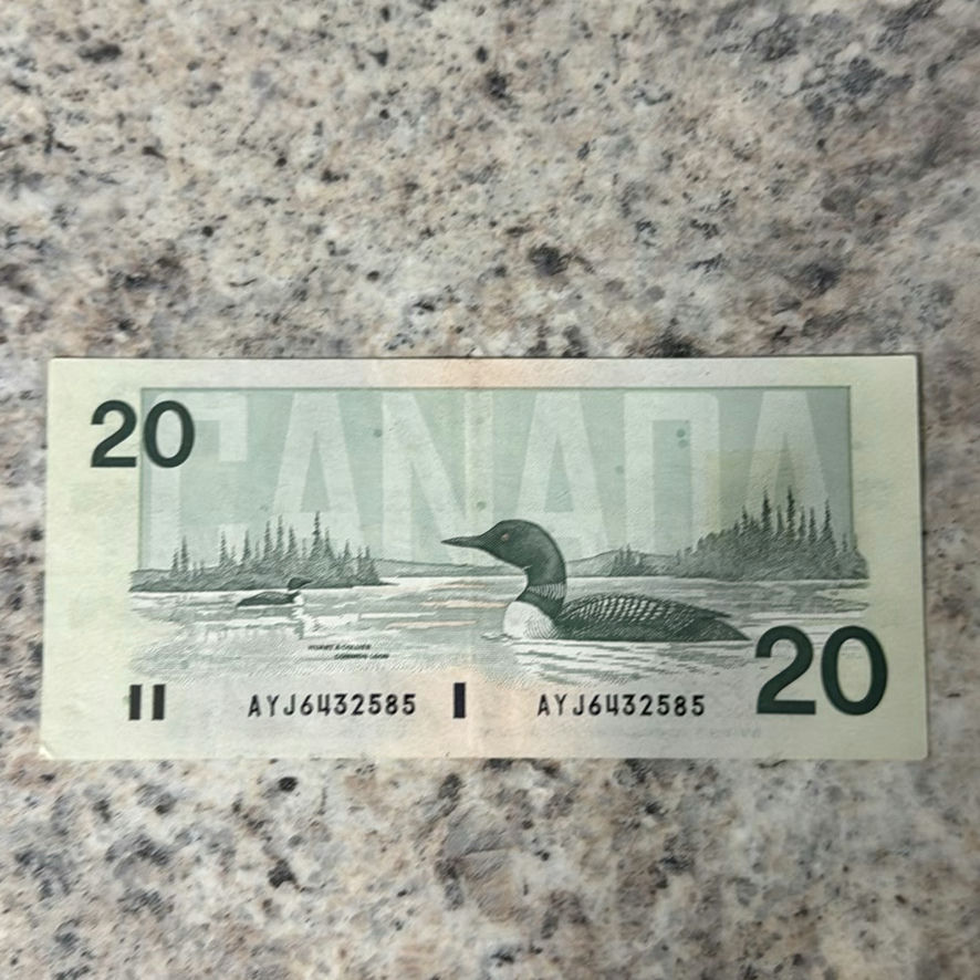$50 In Canadian $20 And $5’s - image 9 of 9