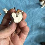 Lot Of Cats - thumbnail 30 of 43