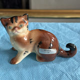 Lot Of Cats - thumbnail 19 of 43