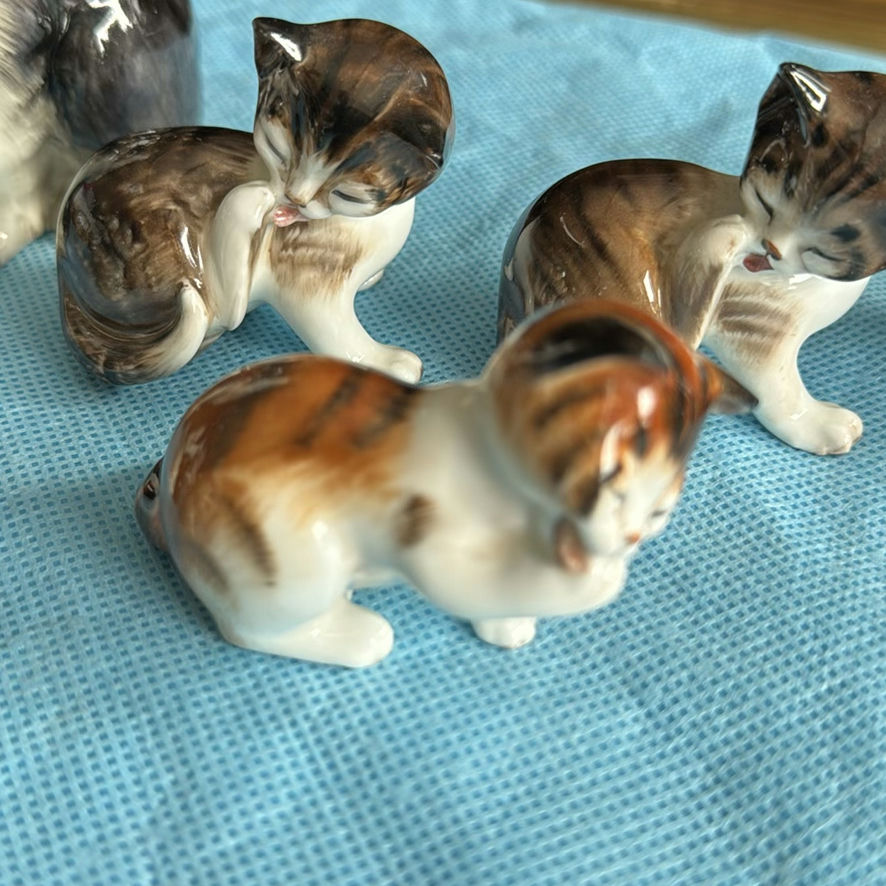 Lot Of Cats - image 15 of 43