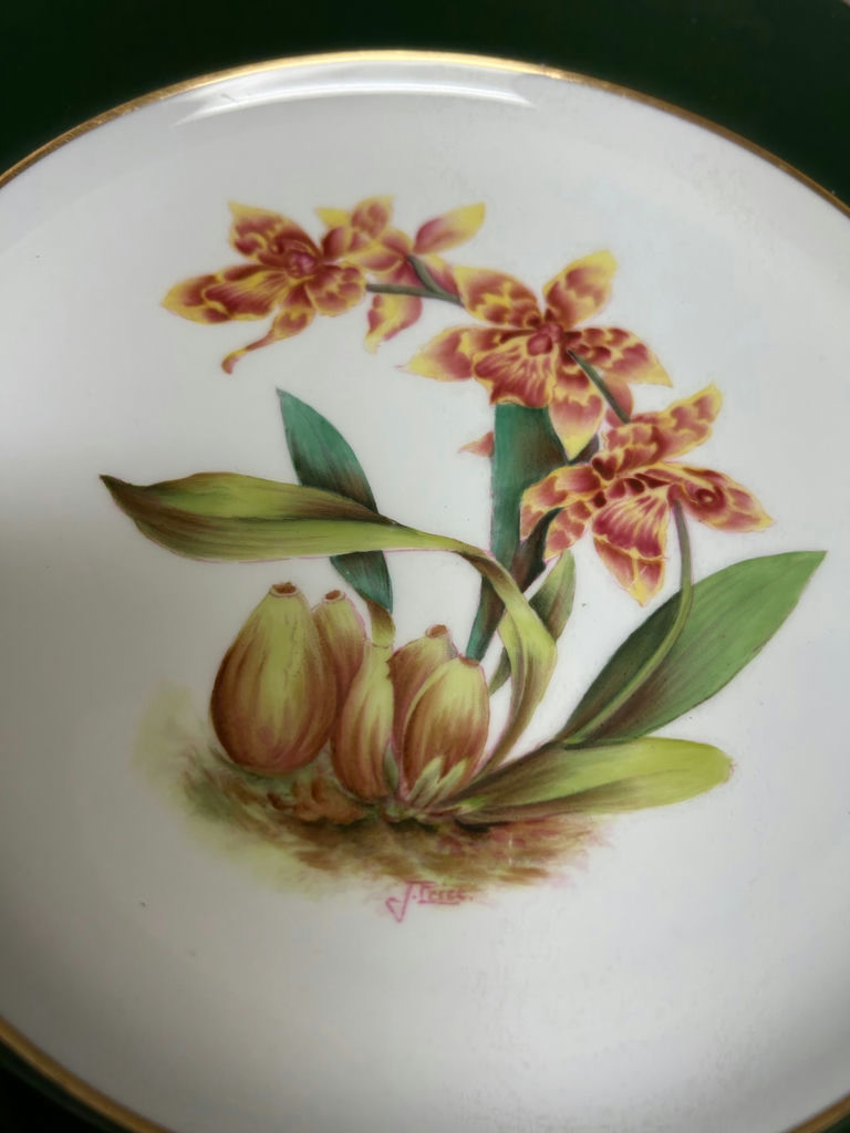 Spode Copeland China Dinner Plates  - image 2 of 4