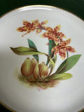 Spode Copeland China Dinner Plates - thumbnail 2 of 4