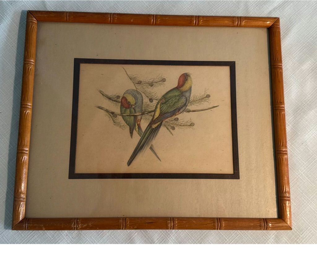 Framed parrot print and vintage Hawaiian menus - image 9 of 10