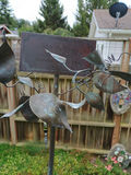 Ceramic planters, stands and art - thumbnail 4 of 5