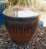 3 large Ceramic pots - thumbnail 3 of 4