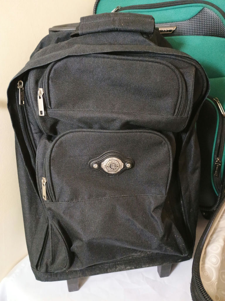 Three pieces of luggage: two rolling suitcases and a backpack - image 5 of 8