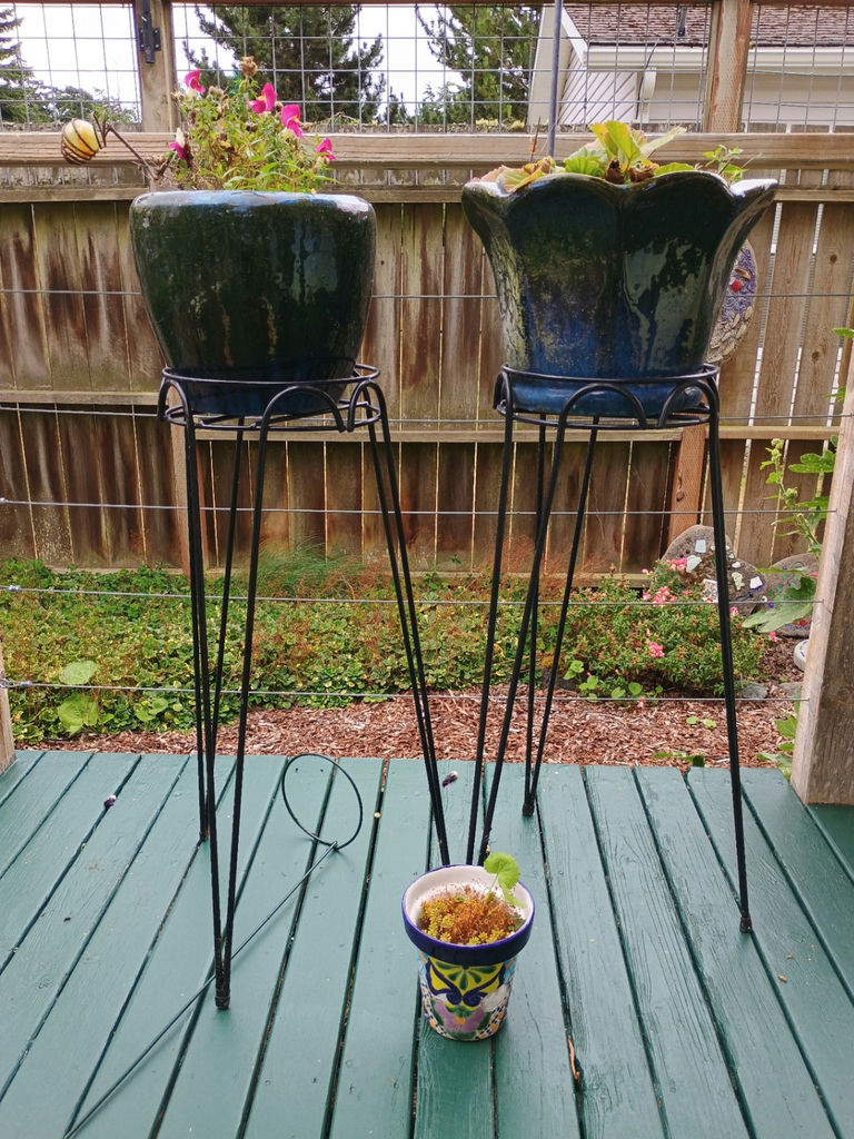 Ceramic planters, stands and art - image 1 of 5