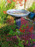 Bird bath - thumbnail 3 of 3