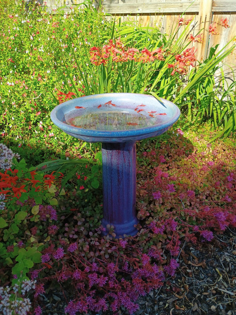 Bird bath - image 1 of 3