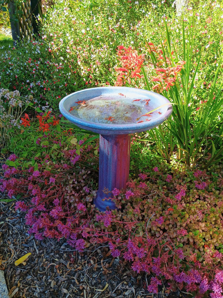 Bird bath - image 2 of 3