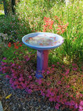 Bird bath - thumbnail 2 of 3