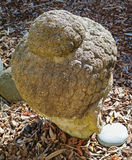 Concrete Buddha head - thumbnail 3 of 3
