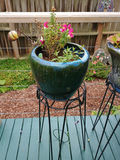 Ceramic planters, stands and art - thumbnail 2 of 5