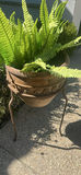 Decorative Outdoor Planters and Pots - thumbnail 1 of 7