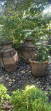 Decorative Outdoor Planters and Urns - thumbnail 1 of 7