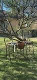 Metal Garden Chairs, Plant Stand, Shepherd Hook, and Bird Feeder - thumbnail 5 of 5