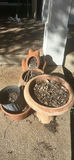 Rustic Bench, Planters, and Garden Decor - thumbnail 4 of 6