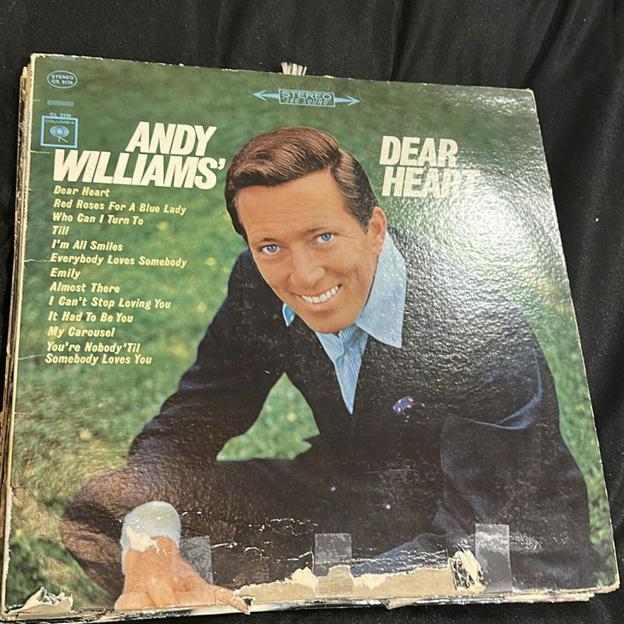 Vintage Vocal and Pop Vinyl Record Albums - image 10 of 18