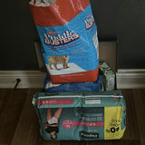 Cleaning Supplies, Pet Training Pads, and Depend Underwear - thumbnail 2 of 4