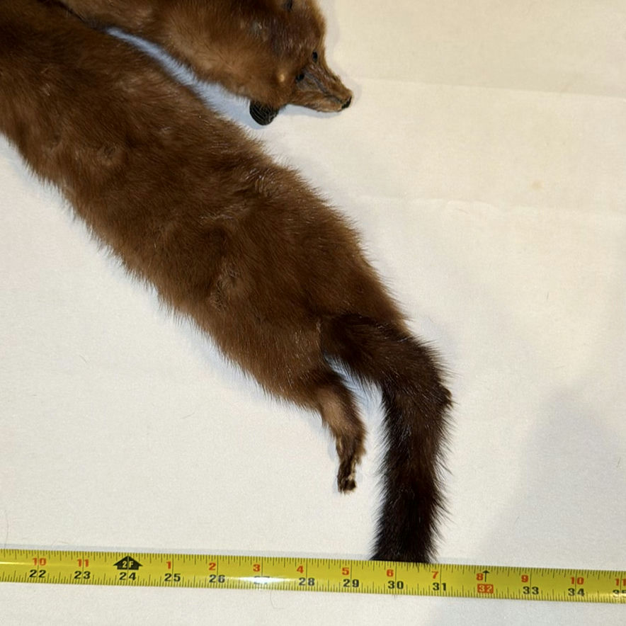Mink Fur Stole - image 2 of 6
