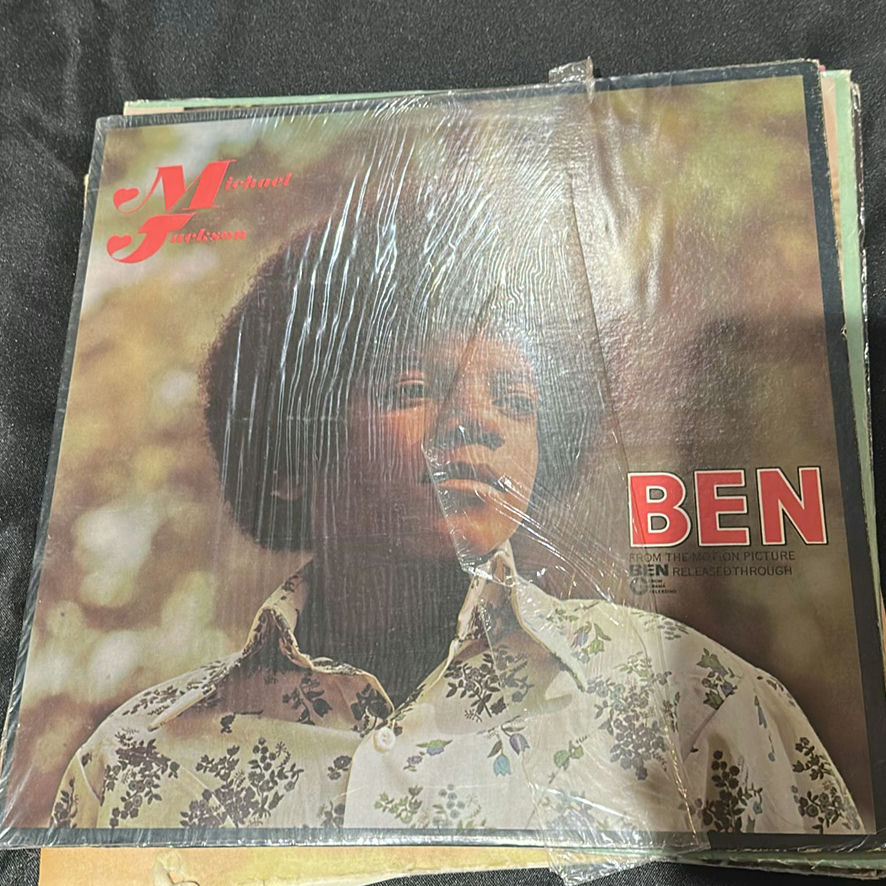 Collection of Vinyl Record Albums Including Michael Jackson, Cher, and Three Dog Night - image 2 of 9