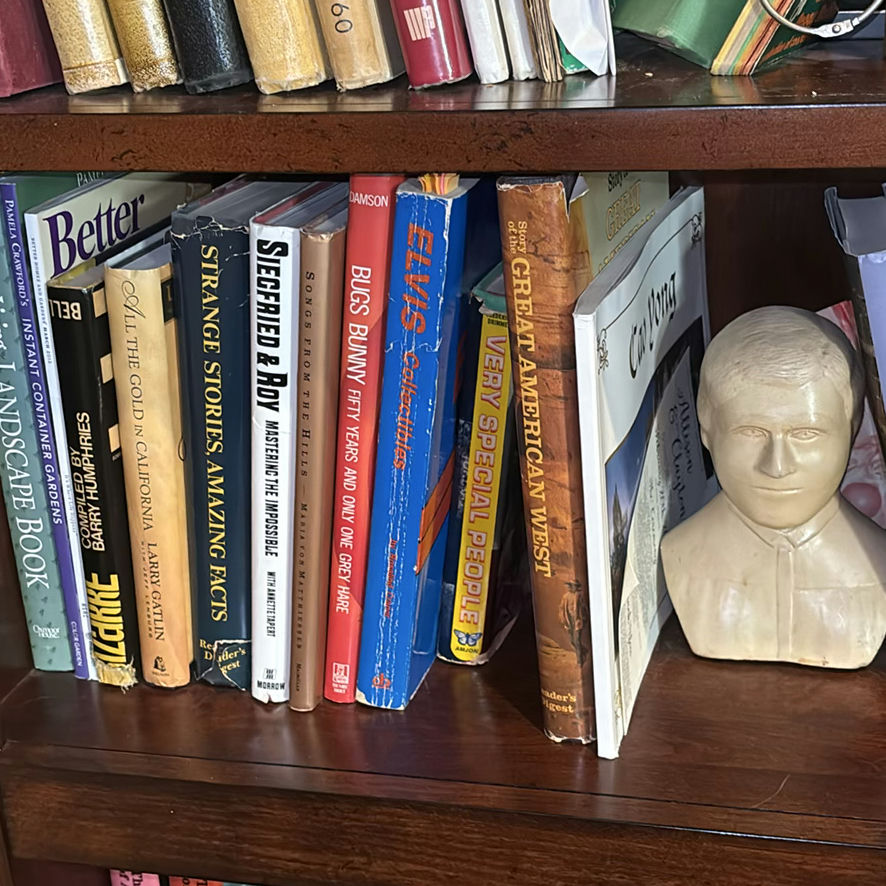 Wooden Bookshelf with Books and Decorative Items - image 6 of 15