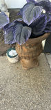 Metal Garden Trellises and Outdoor Planters - thumbnail 10 of 11