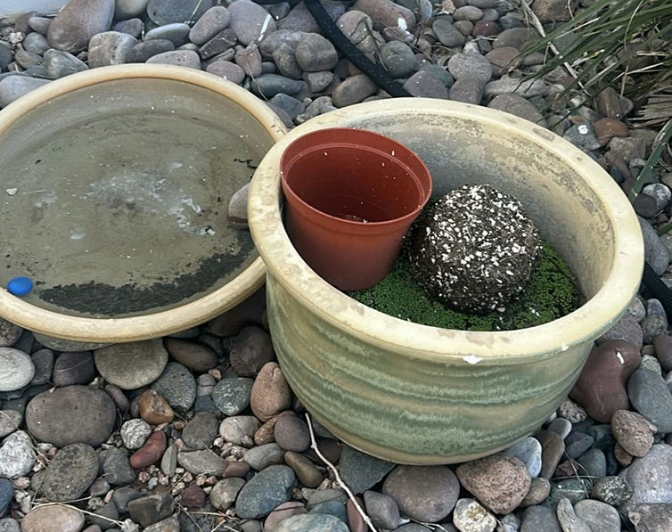 Decorative Outdoor Planters and Pots - image 3 of 7