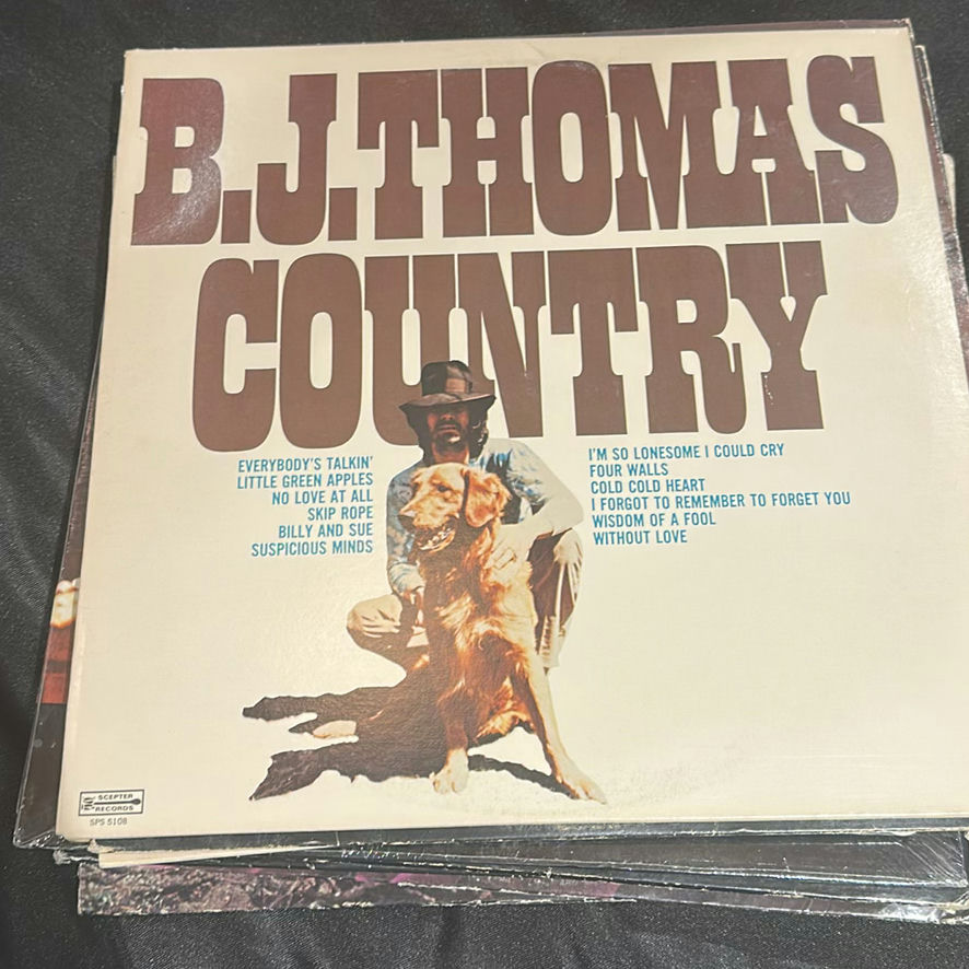 Collection of Vinyl Record Albums and Singles - image 15 of 22
