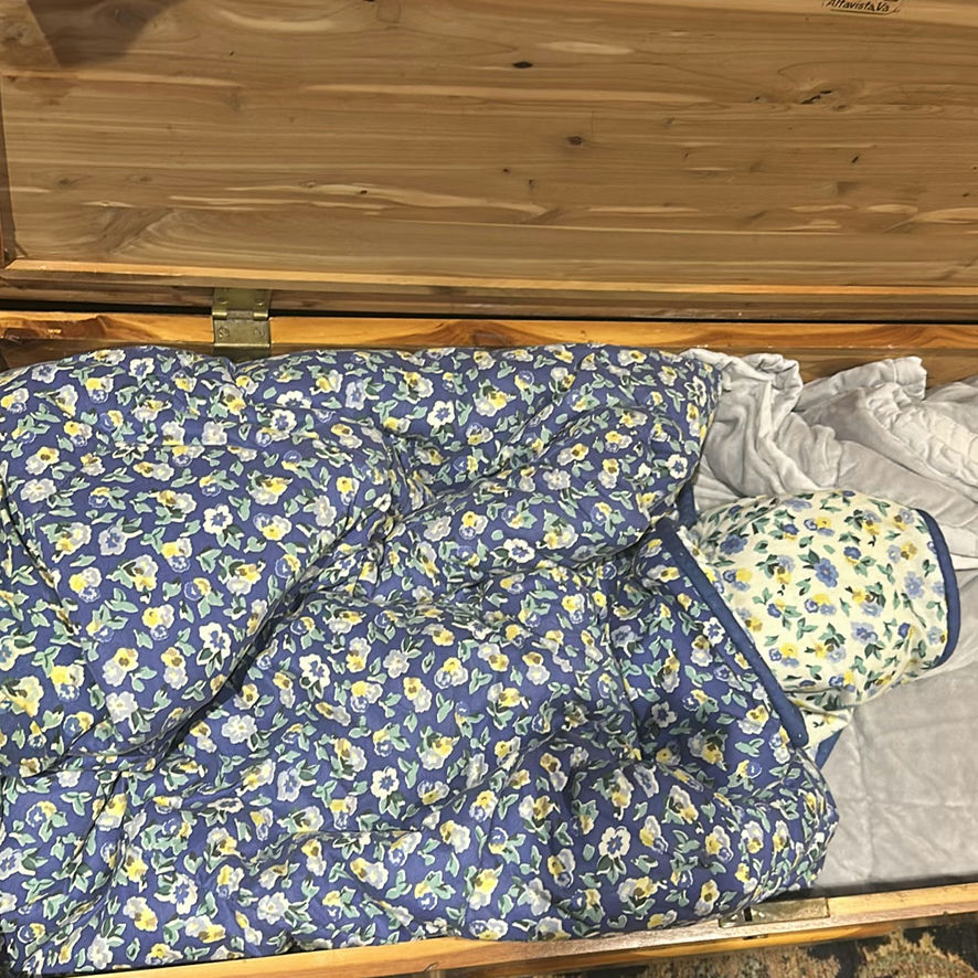 Lane Cedar Chest with Bedding - image 4 of 7