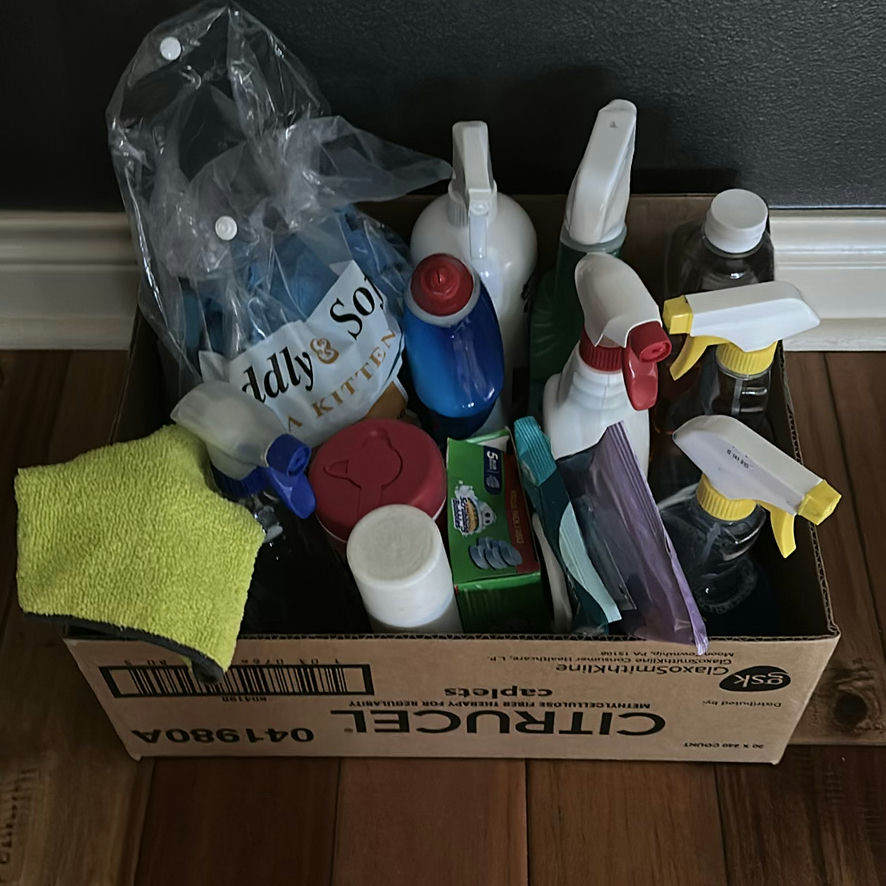 Cleaning Supplies, Pet Training Pads, and Depend Underwear - image 4 of 4