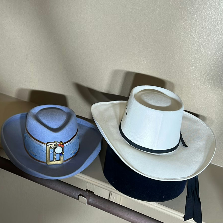 Two Western Style Hats - image 1 of 8