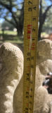 Outdoor Garden Decor and Planters - thumbnail 2 of 5