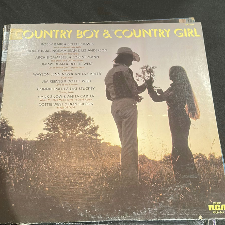 Collection of Vinyl Record Albums and Singles - image 19 of 22