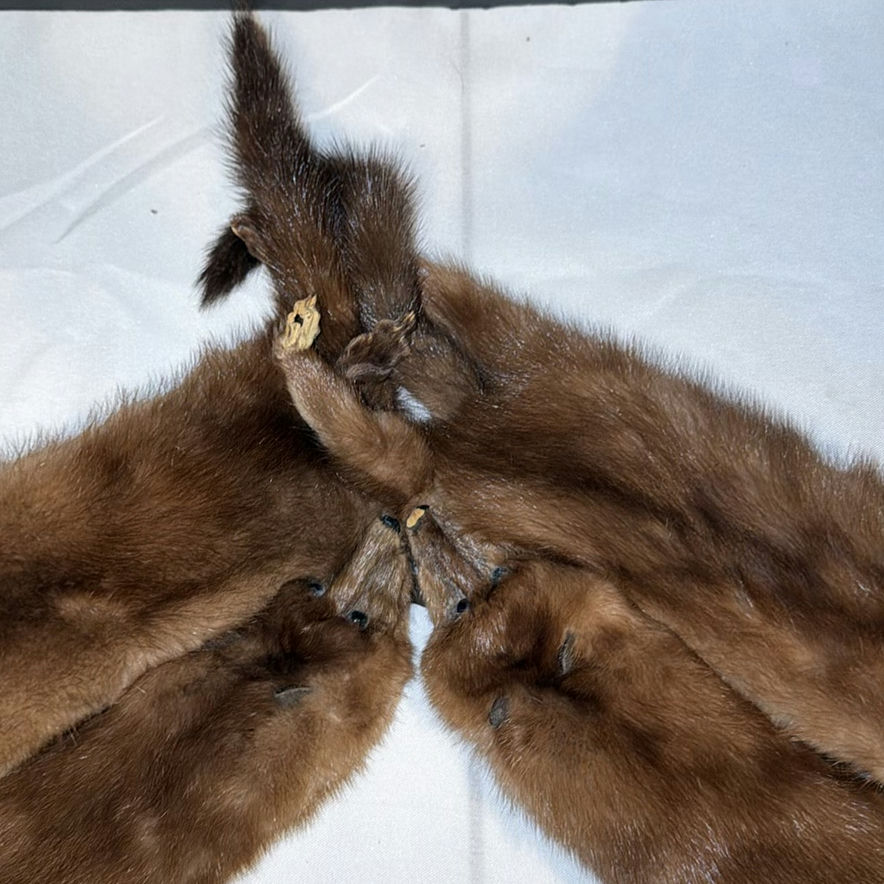 Mink Fur Stole - image 3 of 6