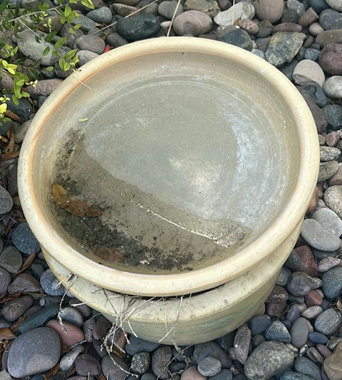 Decorative Outdoor Planters and Pots - image 4 of 7