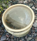 Decorative Outdoor Planters and Pots - thumbnail 4 of 7