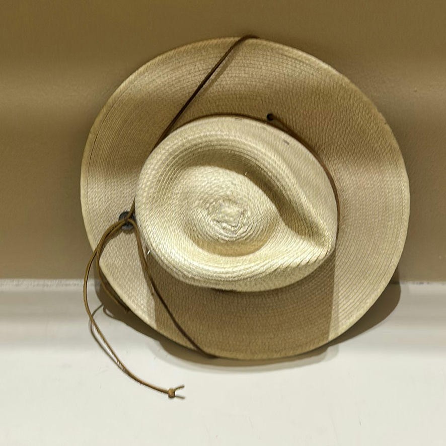 Western Hat, Justin Cowboy Boots, Suit Jacket, Dress Shirts, and Ties - image 6 of 12