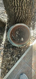 Outdoor Garden Decor and Planters - thumbnail 4 of 5