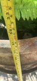 Decorative Outdoor Planters and Pots - thumbnail 7 of 7