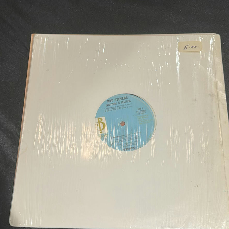 Collection of Vinyl Record Albums and Singles - image 2 of 22