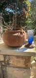 Assorted Outdoor Planters and Decorative Metal Decor - thumbnail 10 of 12