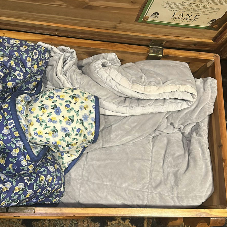 Lane Cedar Chest with Bedding - image 5 of 7