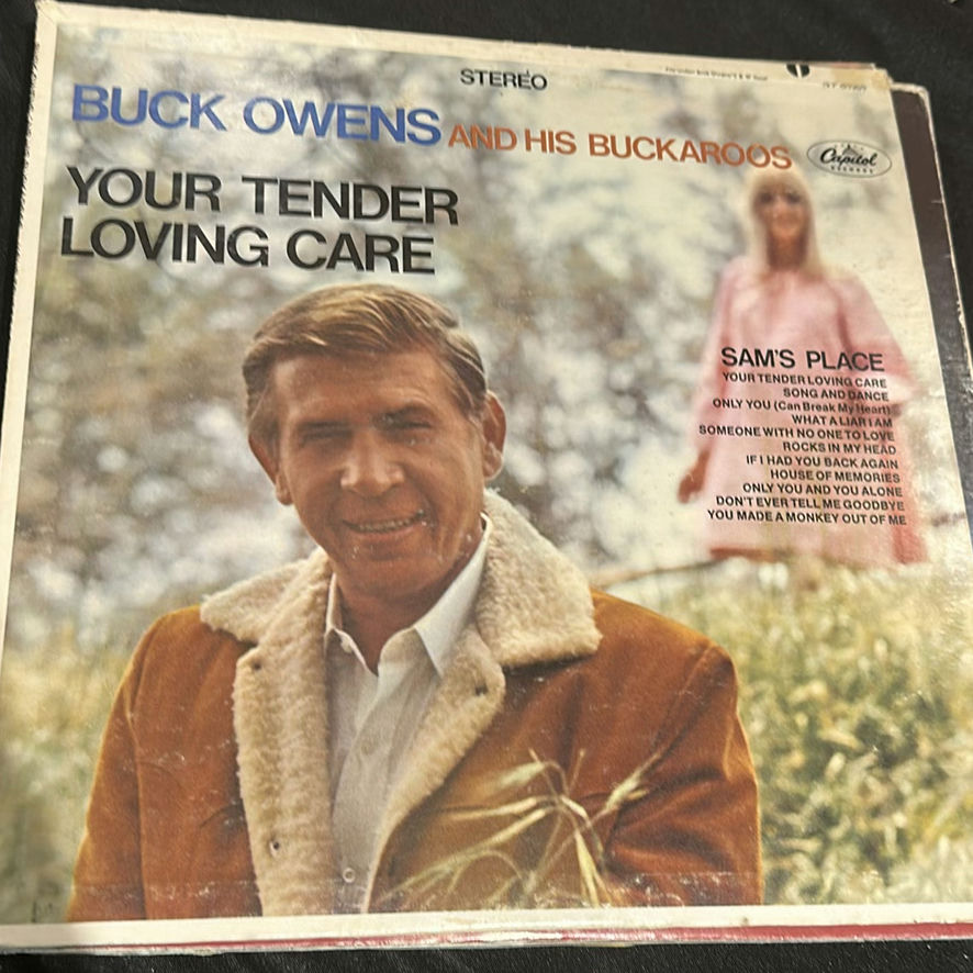 Country Music Vinyl Record Albums and Single - image 16 of 24