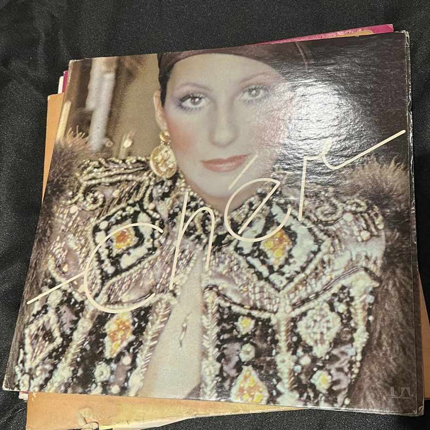 Collection of Vinyl Record Albums Including Michael Jackson, Cher, and Three Dog Night - image 4 of 9