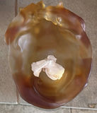 Christmas Figurines and Decorative Glass Sculpture - thumbnail 4 of 7