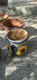 Assorted Decorative Planters and Frog Garden Statues - thumbnail 3 of 6